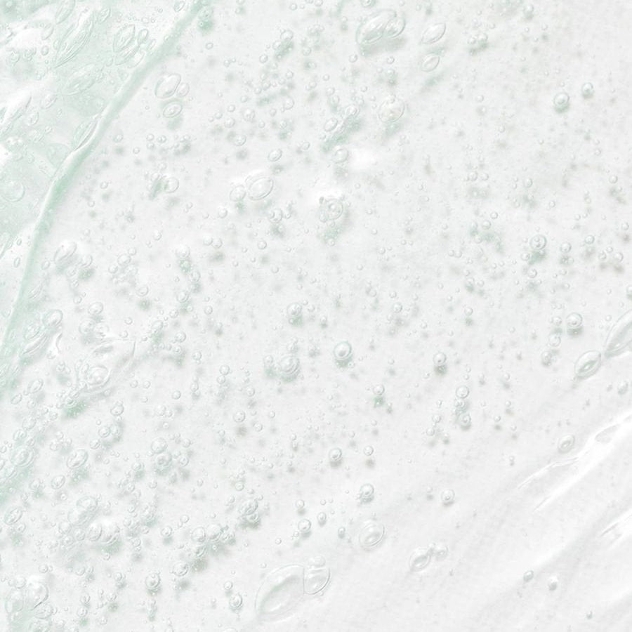 Green Plum Refreshing Cleanser 100mL