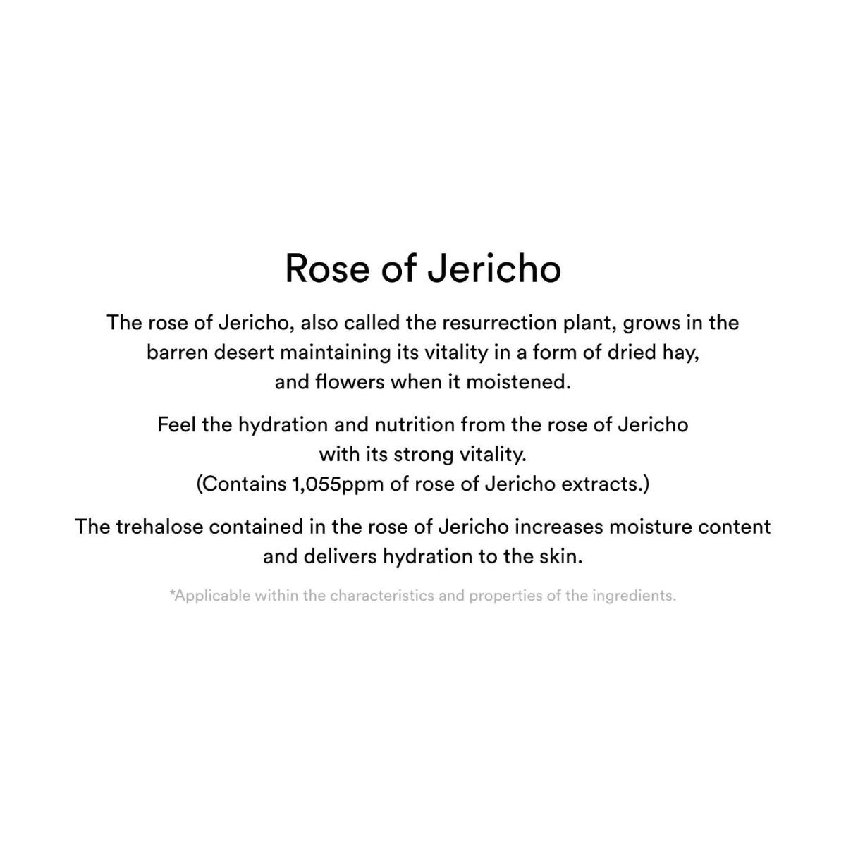 Collagen Eye Patch Jericho Rose Jelly 60pcs