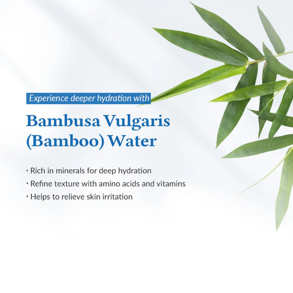 Aqua Marine Watery Cream 50mL