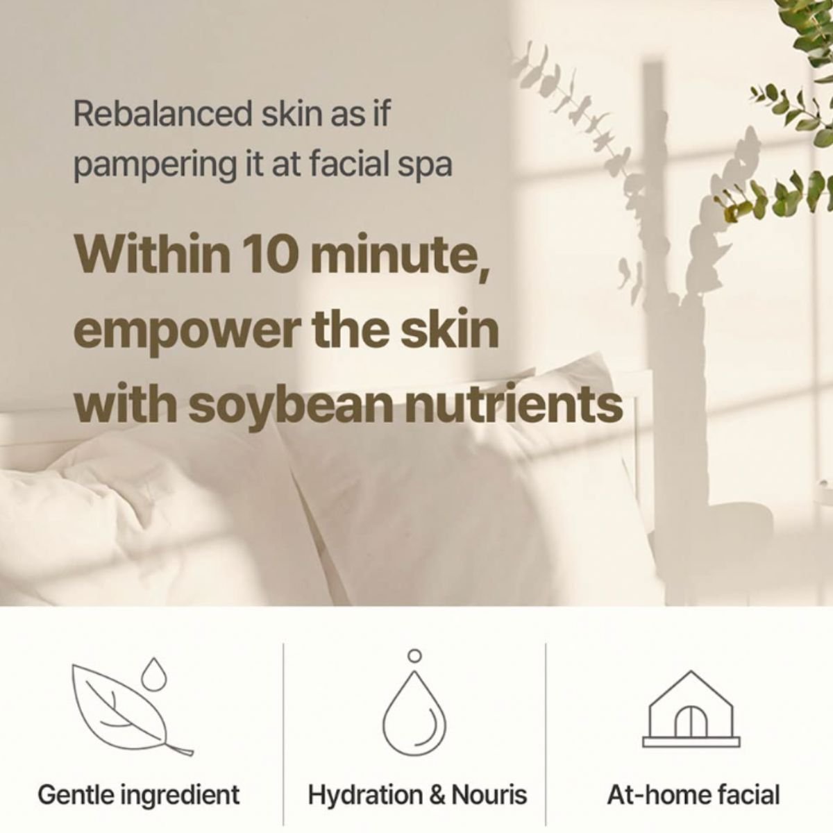 Soybean Milk Pad (10ea)