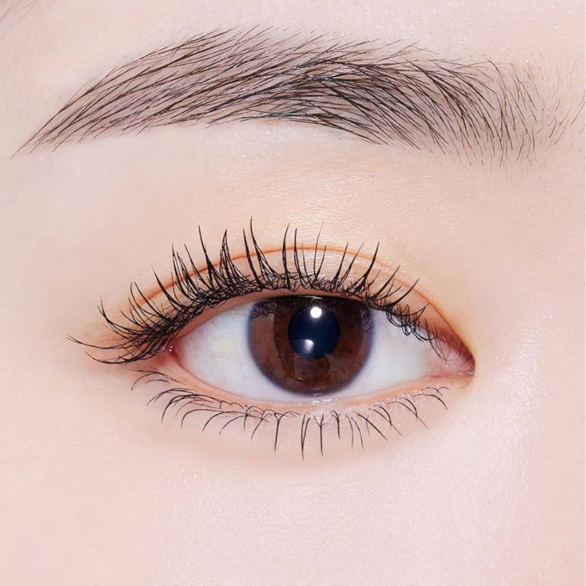 Curl Fix Mascara 01 Black 8g