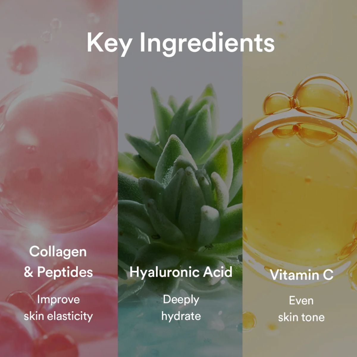 Collagen Gel Mask Sedum Jelly [4ea]