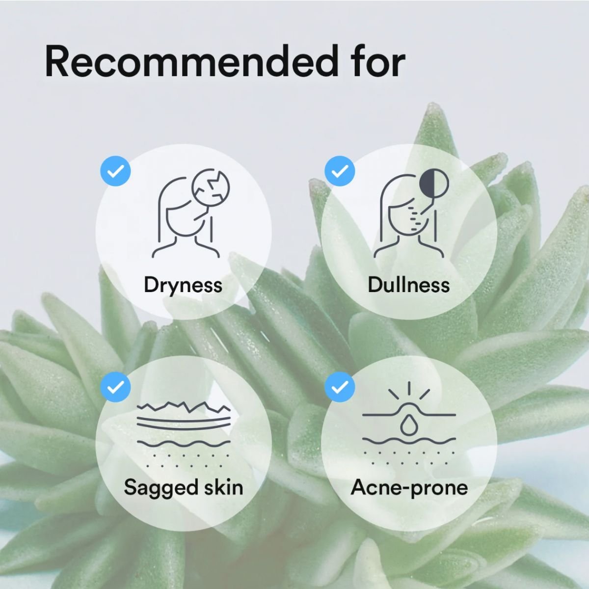 Collagen Gel Mask Sedum Jelly [4ea]