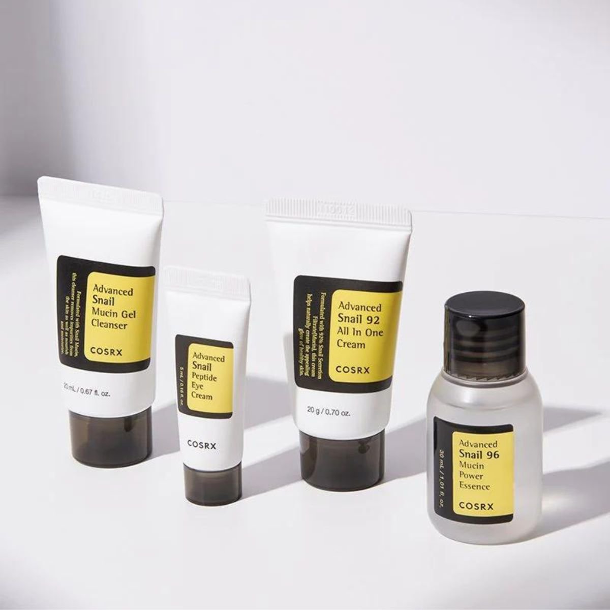 All About Snail Kit