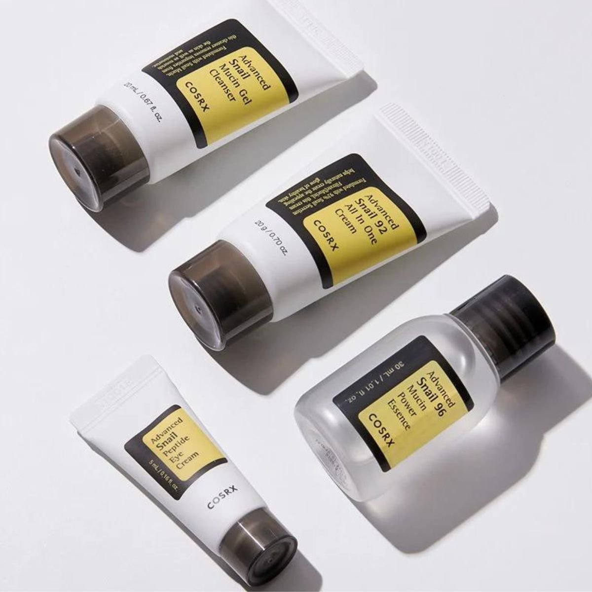 All About Snail Kit