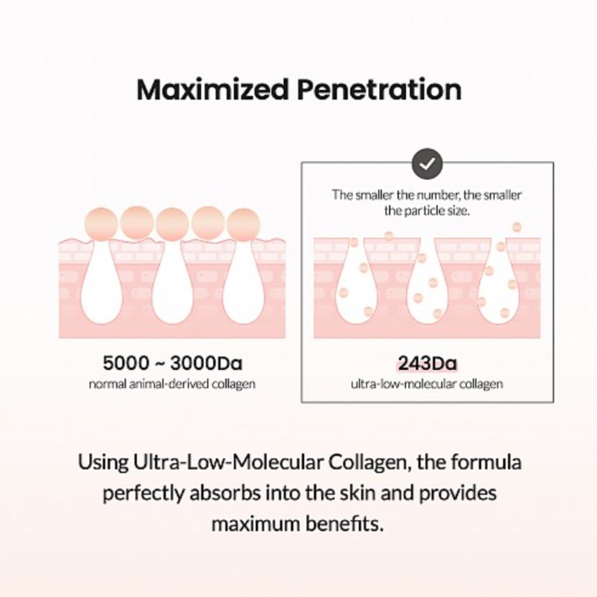 Pore Tightening Collagen Ampoule 50mL