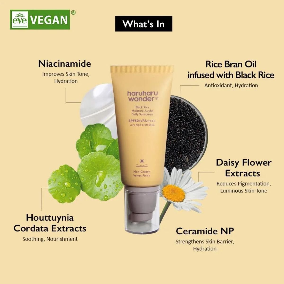 Black Rice Moisture Airyfit Daily Sunscreen 50mL