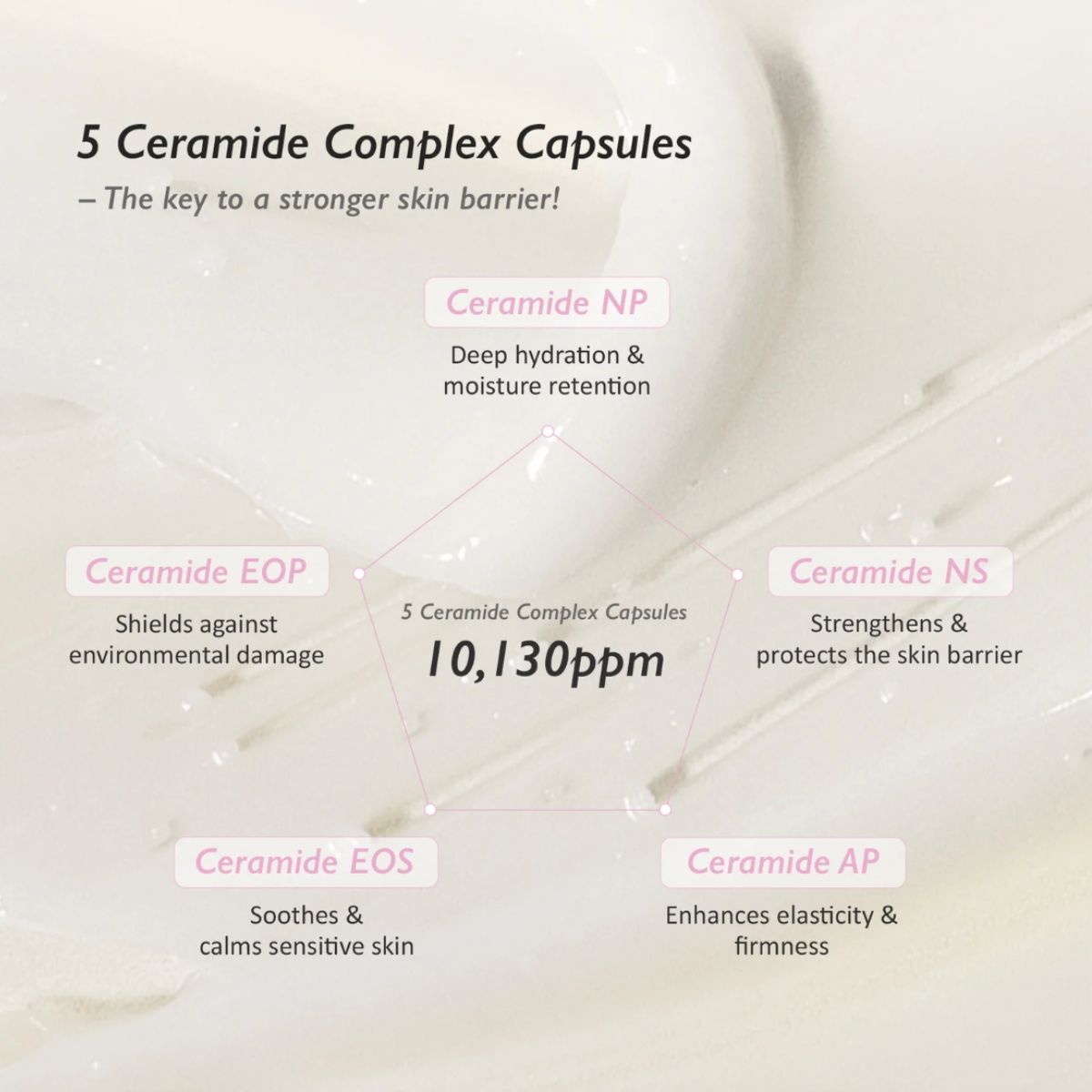 Black Rice 5 Ceramide Barrier Moisturizing Cream 50mL