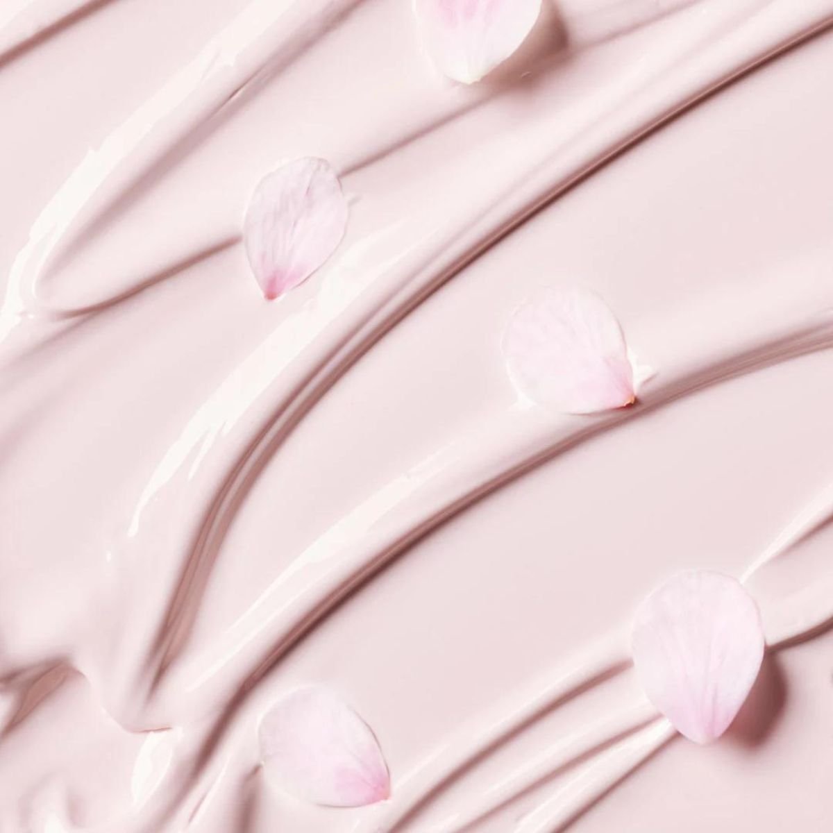 Jeju Cherry Blossom Tone Up Cream 50mL