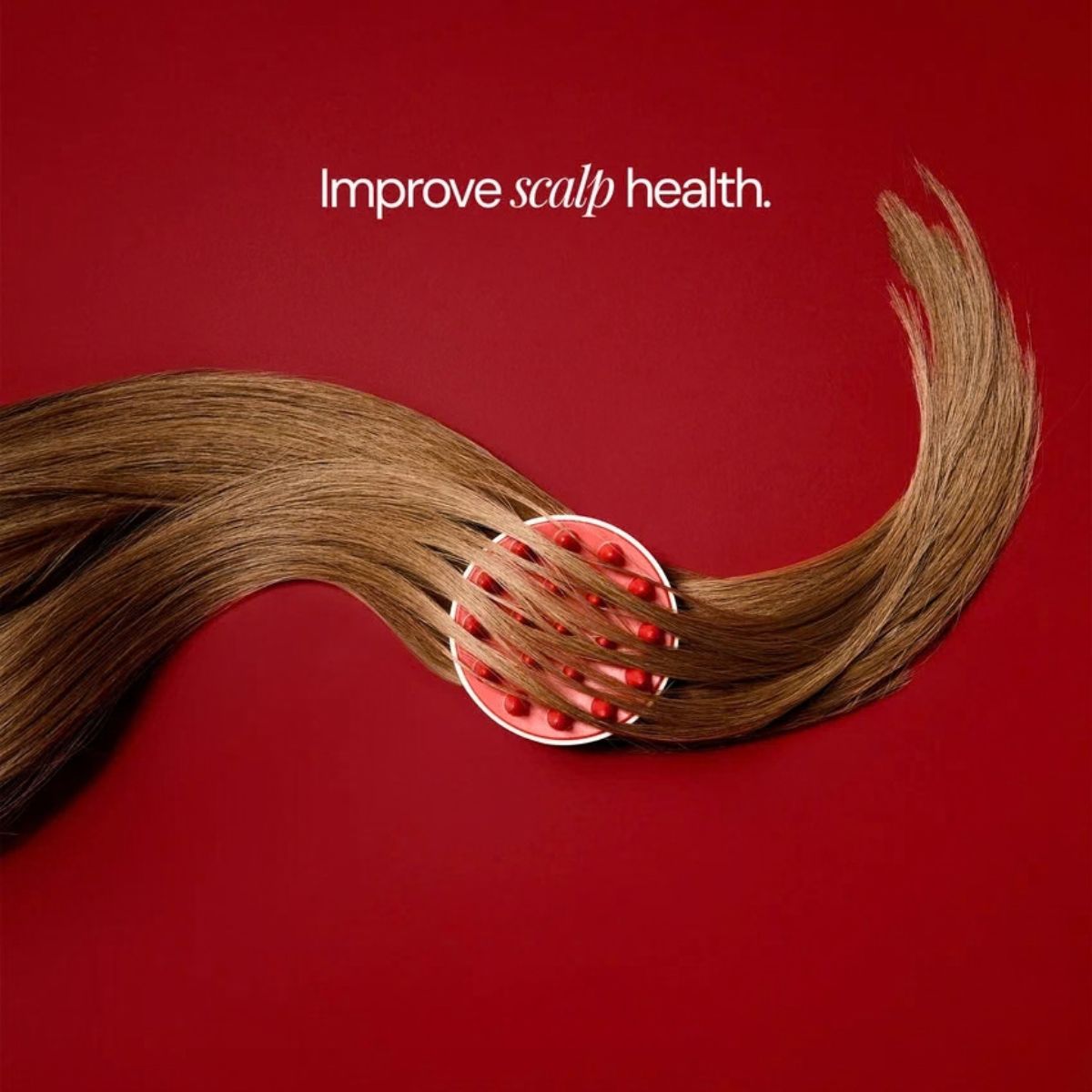 Scalp Brush