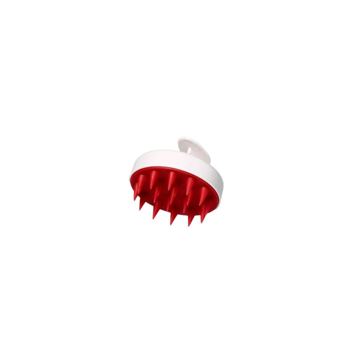 Scalp Brush