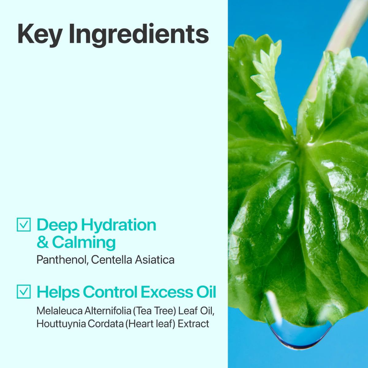No.1 Centella Re-leaf Green Toner Pad 190mL 70pads