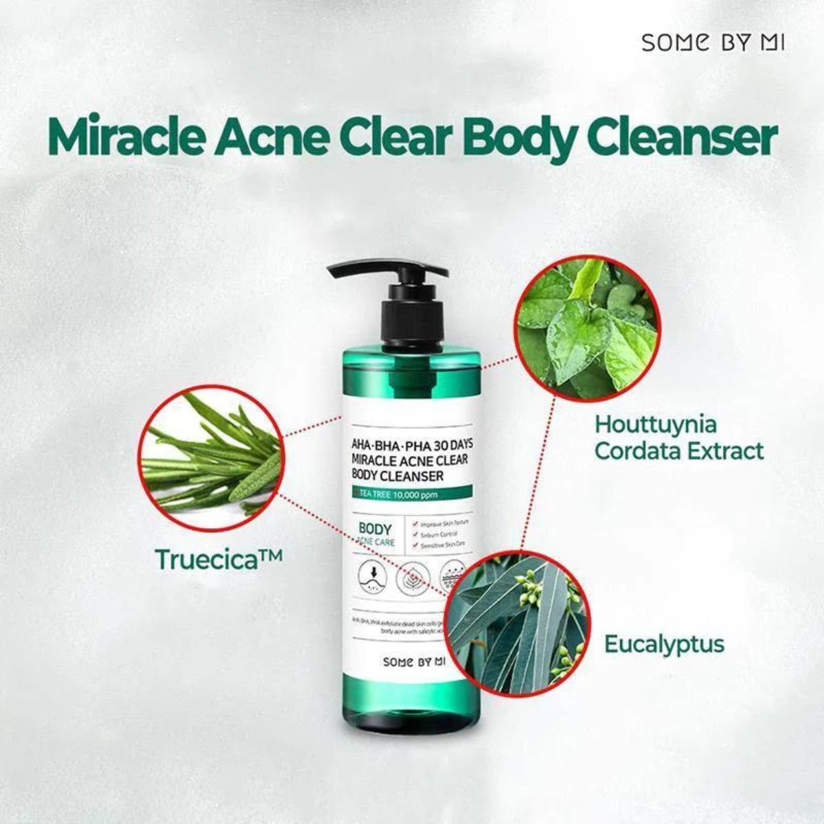 AHA BHA PHA 30 Days Miracle Clear Body Cleanser 400g