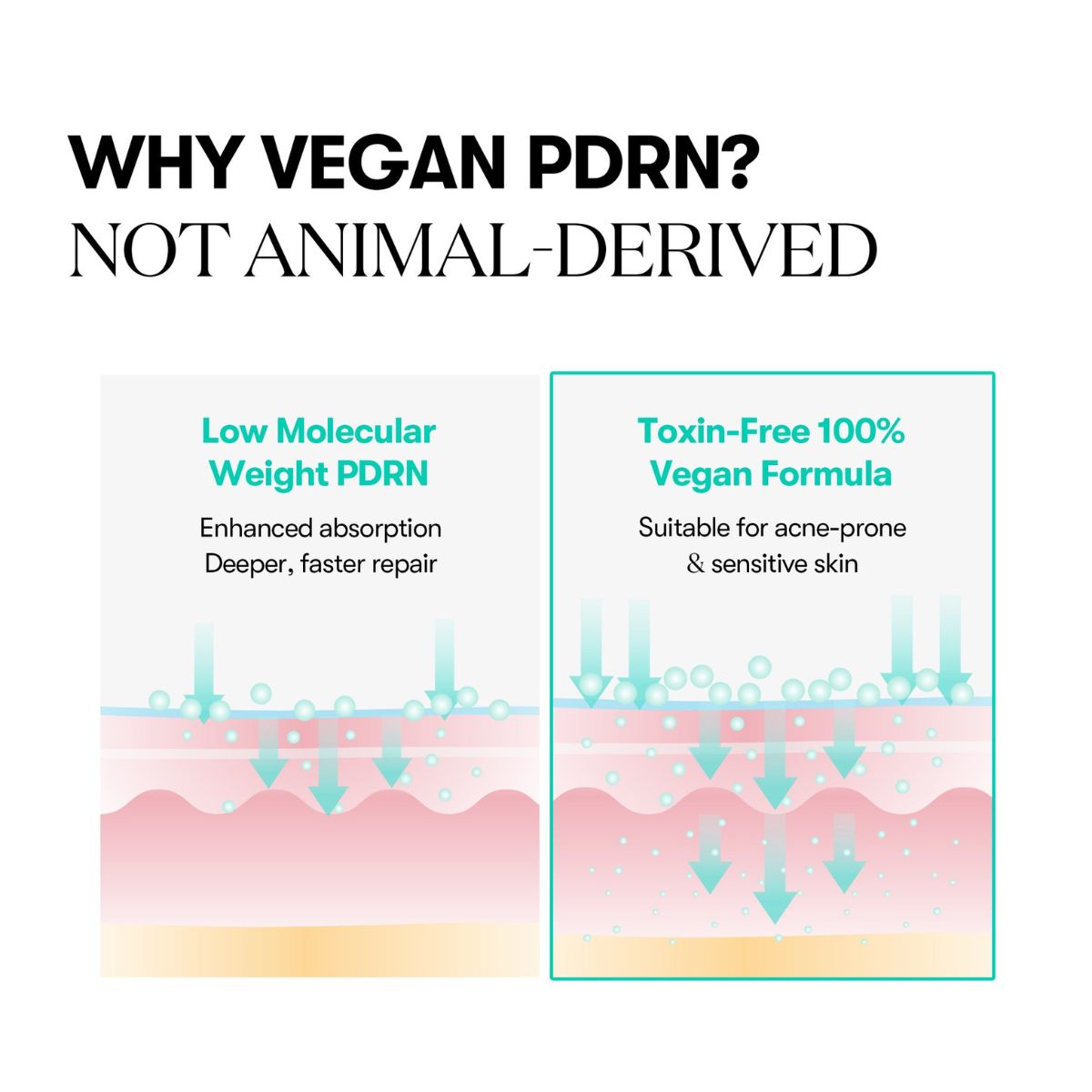 PDRN Capsule Cream 100 50mL